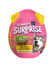 Untitled design (10)-1